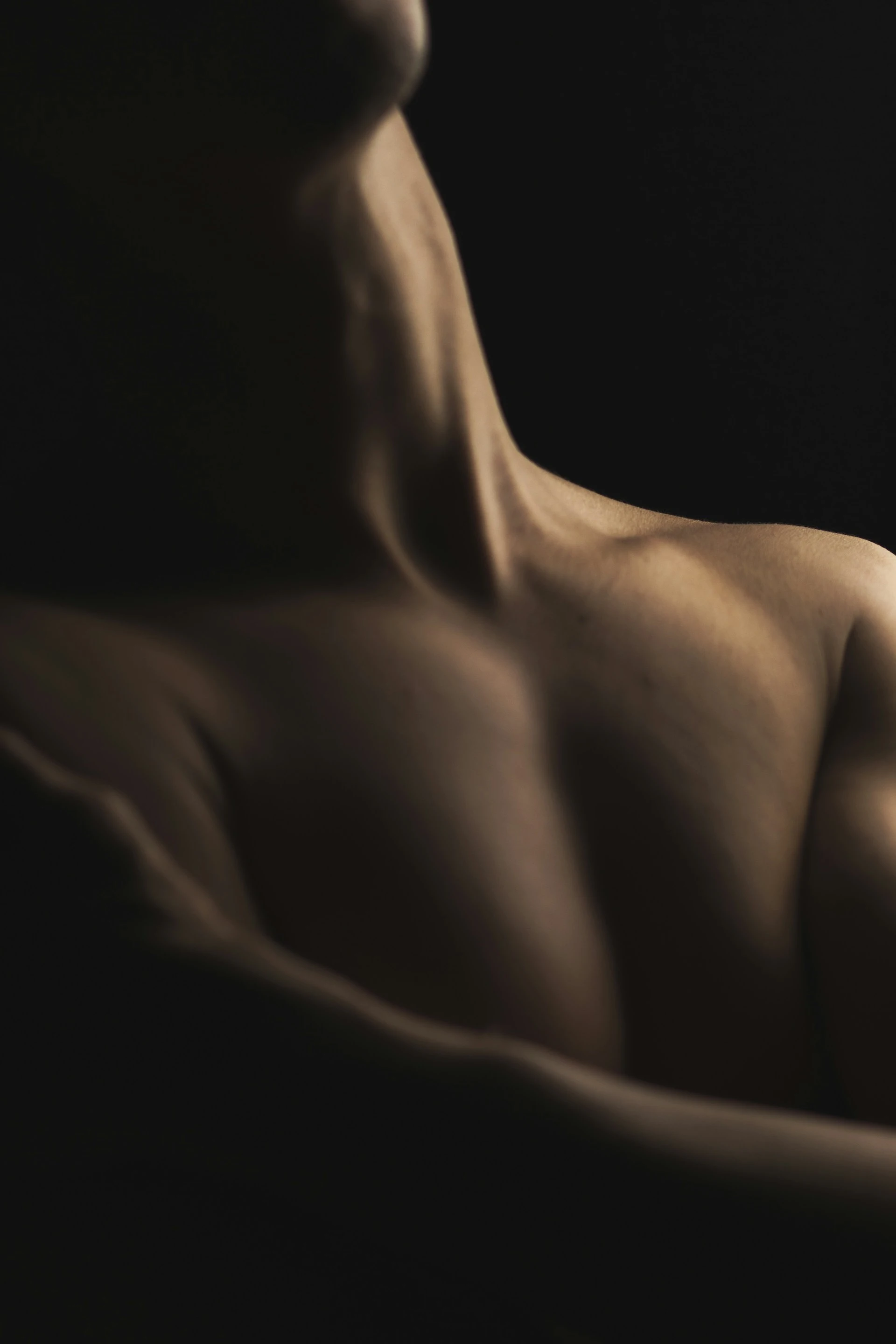 Body